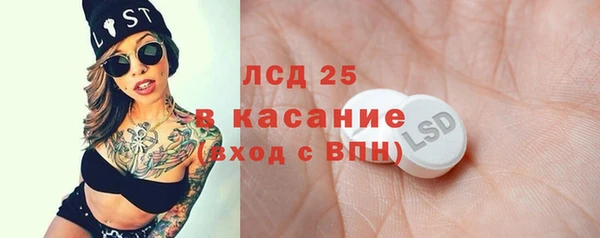 крисы Бородино