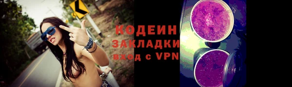 крисы Бородино