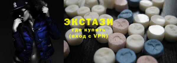 крисы Бородино