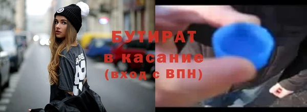 крисы Бородино