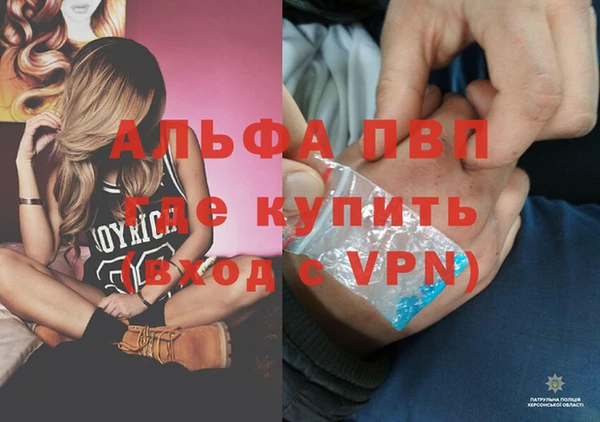 крисы Бородино