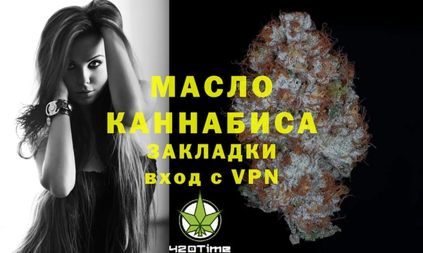 крисы Бородино