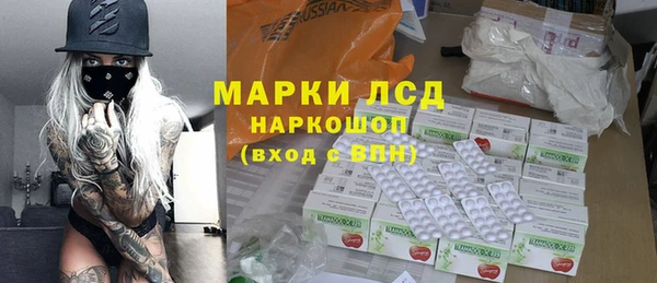 крисы Бородино