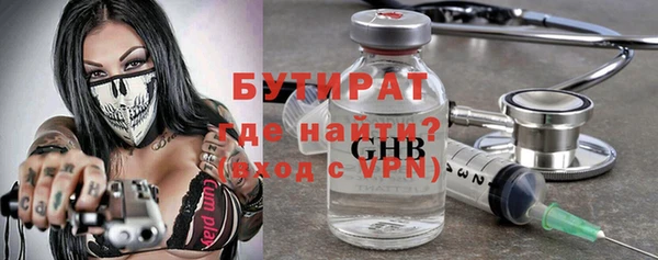 крисы Бородино