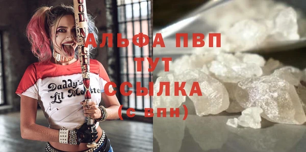 крисы Бородино