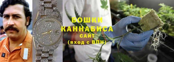 крисы Бородино